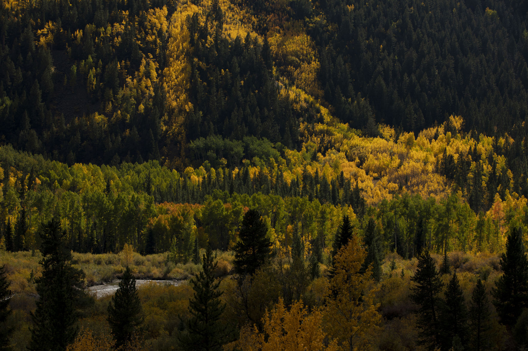 100219-news-fallcolors 20